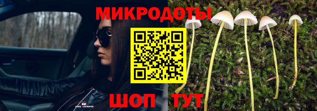 Псилоцибиновые грибы GOLDEN TEACHER Малоярославец